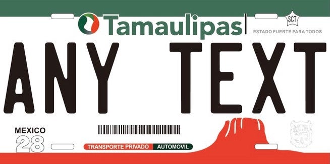 Custom Tamaulipas '13 cases/license plates