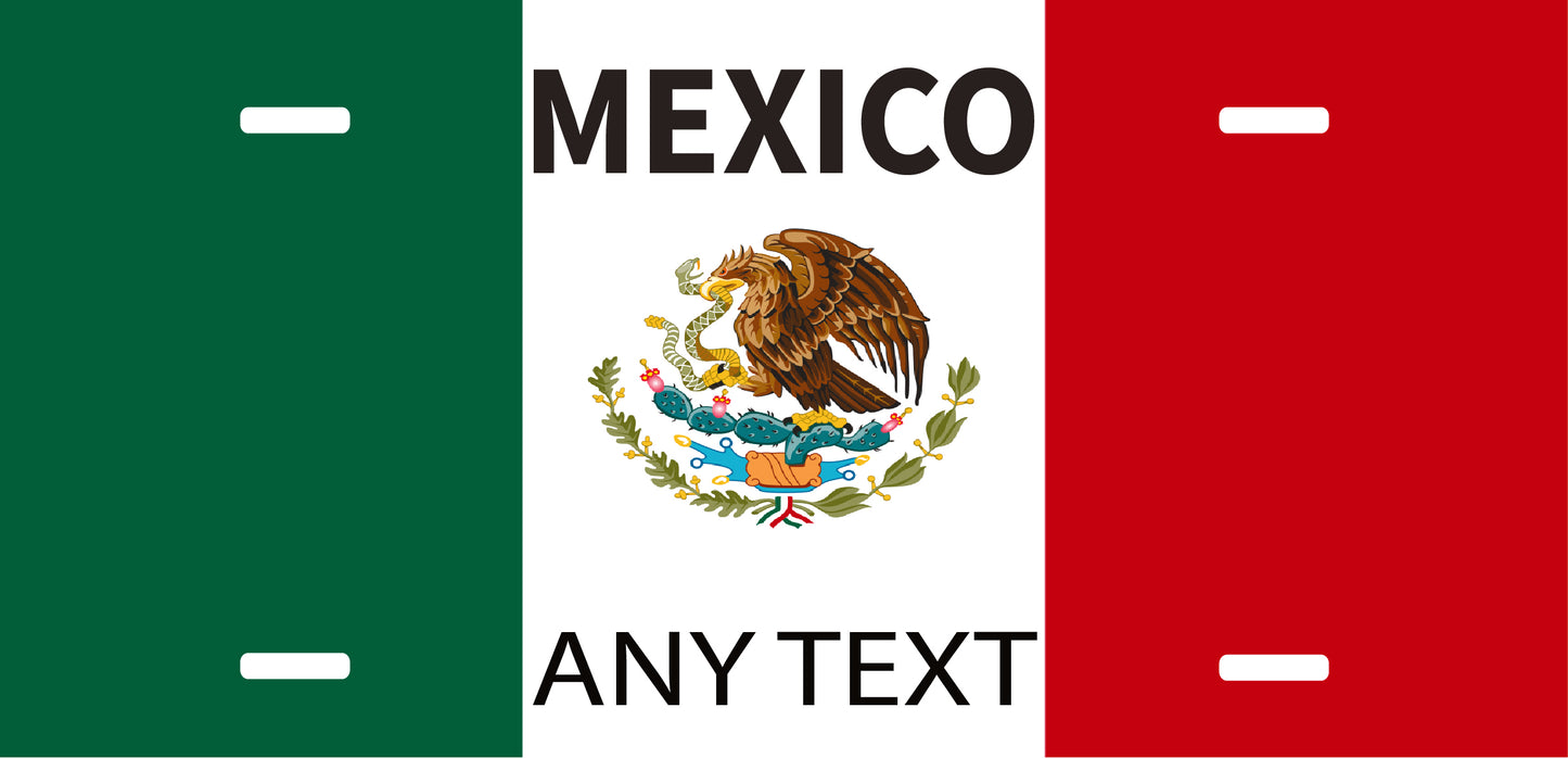 Custom Mexico cases/license plates