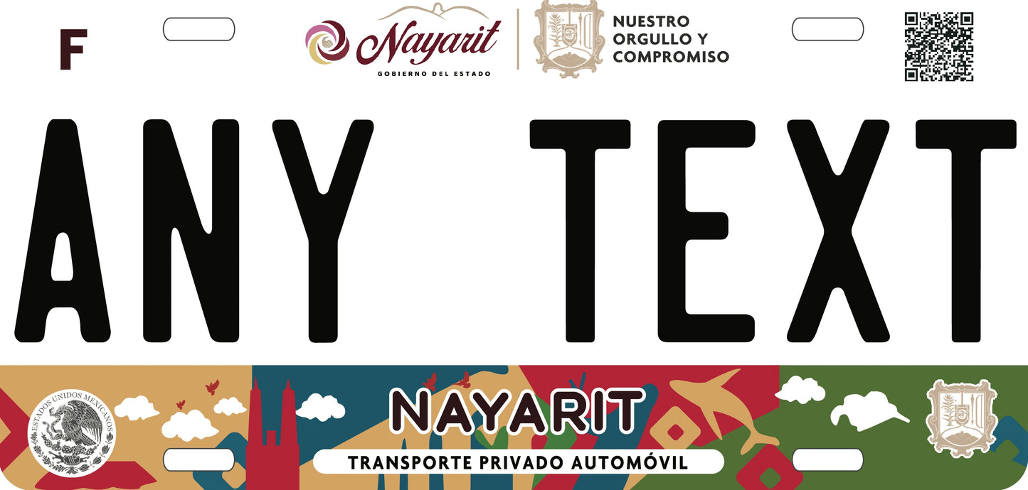 Custom Nayarit '22 cases/license plates