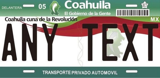 Custom Coahuila ‘10 cases/license plates