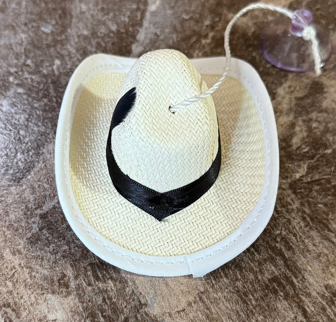 Custom sombreros para carro con pluma