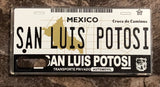 San Luis Potosi 3D ‘01 cases