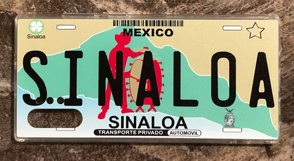 Sinaloa 3D ‘02 cases