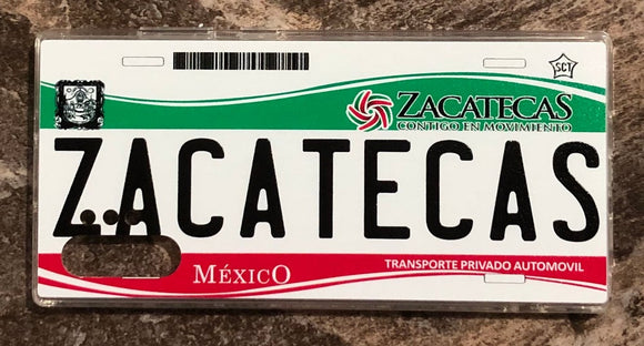 Zacatecas 3D ‘14 cases