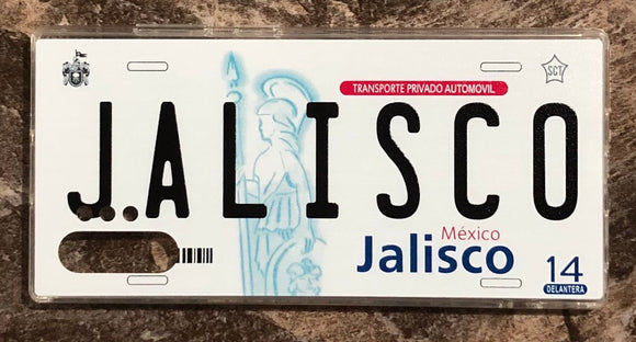 Jalisco 3D ‘11 cases