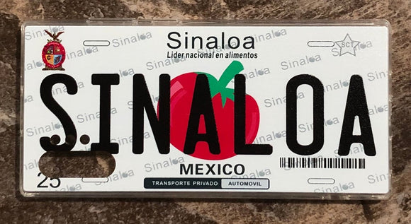 Sinaloa 3D ‘06 cases