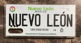 Nuevo Leon 3D ‘11 cases
