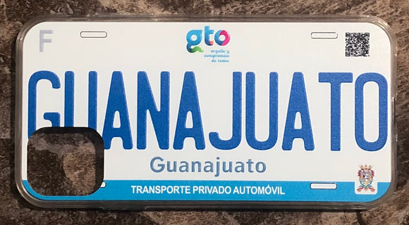 Guanajuato 3D ‘17 cases