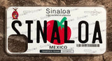 Sinaloa 3D ‘06 cases