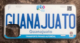 Guanajuato 3D ‘17 cases