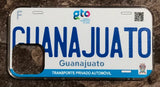 Guanajuato 3D ‘17 cases