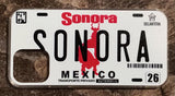Sonora 3D ‘05 cases