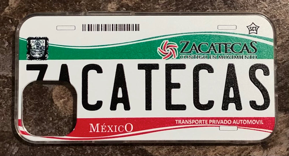 Zacatecas 3D ‘14 cases