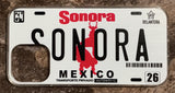 Sonora 3D ‘05 cases