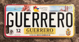 Guerrero 3D ‘15 cases