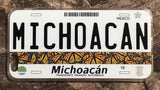 Michoacan 3D ‘07 cases