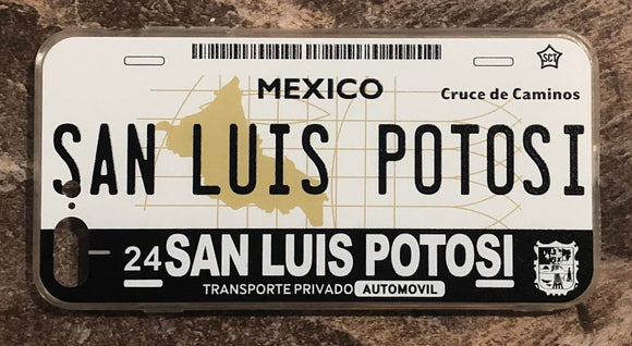San Luis Potosi 3D ‘01 cases