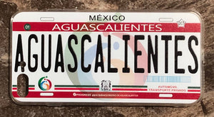 Aguascalientes 3D ‘12 cases