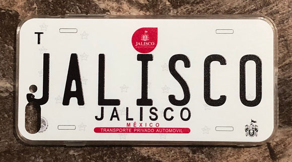 Jalisco 3D ‘17 cases