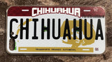 Chihuahua 3D ‘09 cases