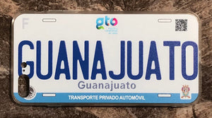 Guanajuato 3D ‘17 cases