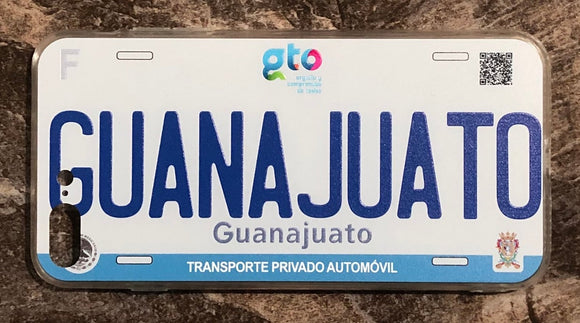 Guanajuato 3D ‘17 cases