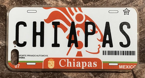 Chiapas 3D ‘09 cases