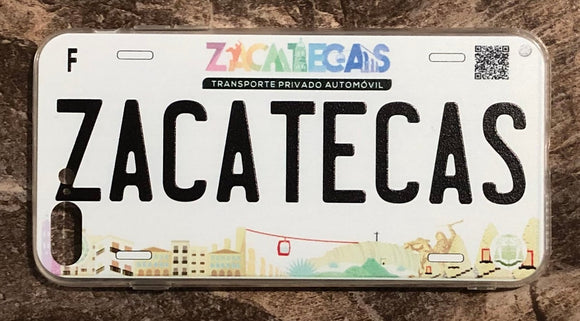 Zacatecas 3D ‘17 cases