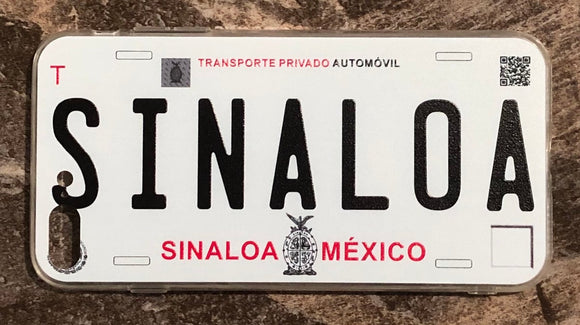 Sinaloa 3D ‘18 cases