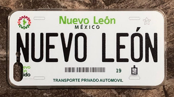 Nuevo Leon 3D ‘11 cases