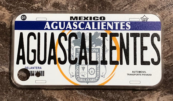 Aguascalientes 3D ‘05 cases