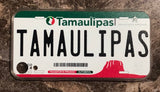 Tamaulipas 3D ‘13 cases