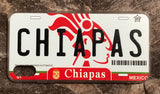 Chiapas 3D ‘09 cases